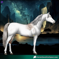 Horse Color:Gray Liver Chestnut Pearl Tobiano 