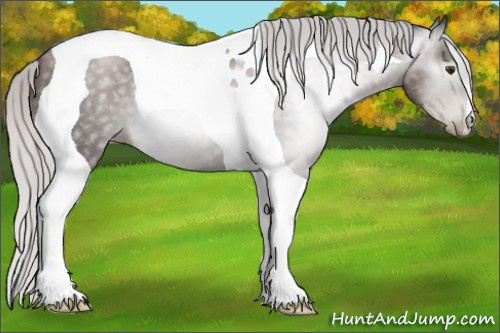 Horse Color:Gray Platinum Silver Black Pearl Tobiano 