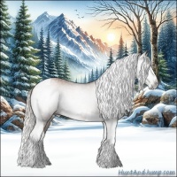 Horse Color:Gray Silver Black Pearl Tobiano