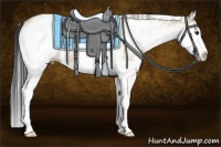 Horse Color:White Spotted Bay Dun Splash Rabicano 