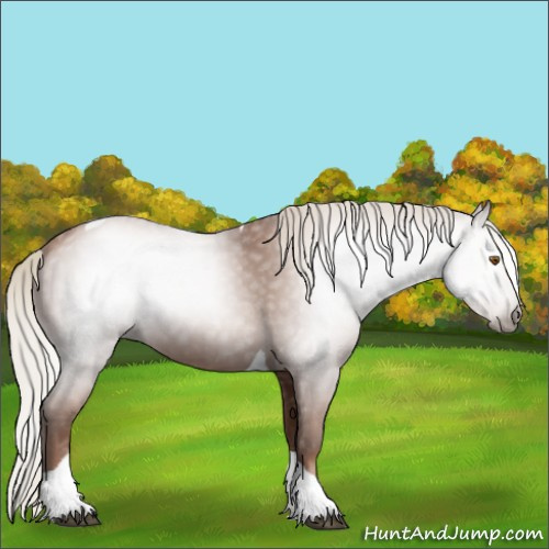 Horse Color:Gray Silver Black Pearl Tobiano