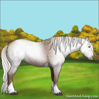 Horse Color:Gray Silver Black Pearl Tobiano