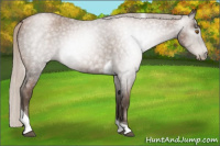 Horse Color:Gray Silver Blue Roan Pearl Tobiano 