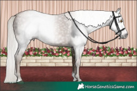 Horse Color:Gray Silver Black Pearl Mushroom Tobiano 