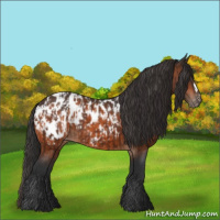 Horse Color:Bay Near Leopard  and Bay Near Leopard 