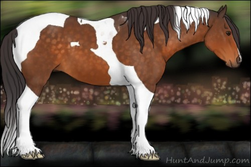 Horse Color:Buckskin Tobiano
