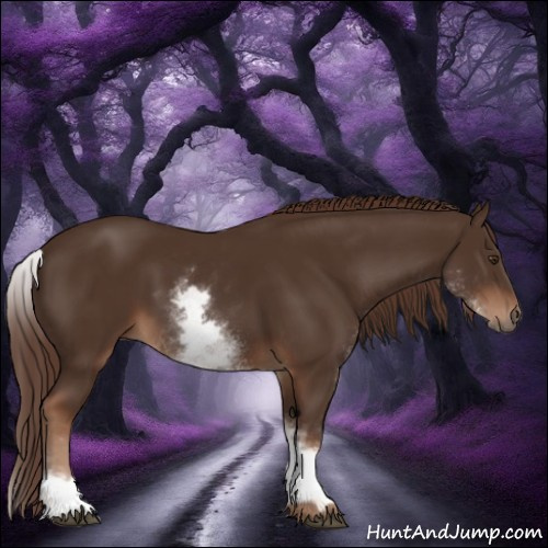 Horse Color:White Spotted Liver Chestnut Sabino