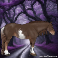 Horse Color:White Spotted Liver Chestnut Sabino