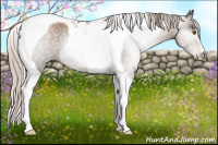 Horse Color:Gray Silver Black Pearl Tobiano 