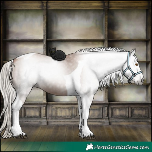 Horse Color:Gray Silver Black Pearl Tobiano 