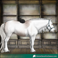 Horse Color:Gray Silver Black Pearl Tobiano 