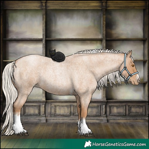 Horse Color:Silver Blue Roan Pearl Tobiano Frame 
