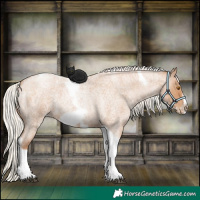 Horse Color:Silver Blue Roan Pearl Tobiano Frame 