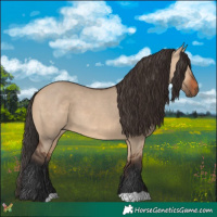 Horse Color:Bay Dun