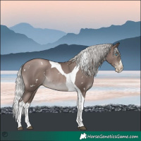 Horse Color:Gray Platinum White Spotted Silver Black Pearl Splash Tobiano Rabicano