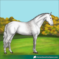 Horse Color:Gray Platinum Silver Black Pearl Tobiano 