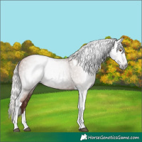 Horse Color:Gray Silver Black Pearl Tobiano 