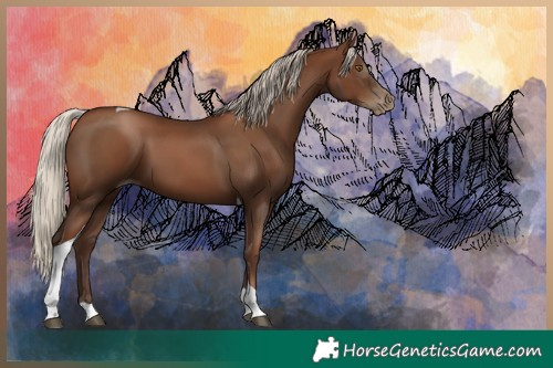 Horse Color:Gray Silver Black Pearl Tobiano