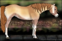 Horse Color:Red Onyx 