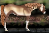 Horse Color:Red Onyx 