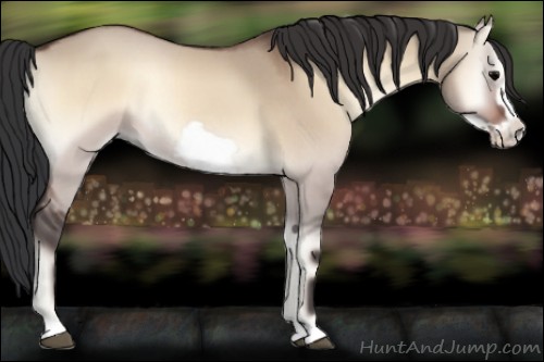 Horse Color:Bay Roan Onyx Frame Rabicano
