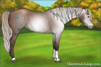 Horse Color:Gray Silver Black Pearl Tobiano