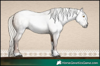 Horse Color:Gray Silver Grullo Pearl Tobiano 