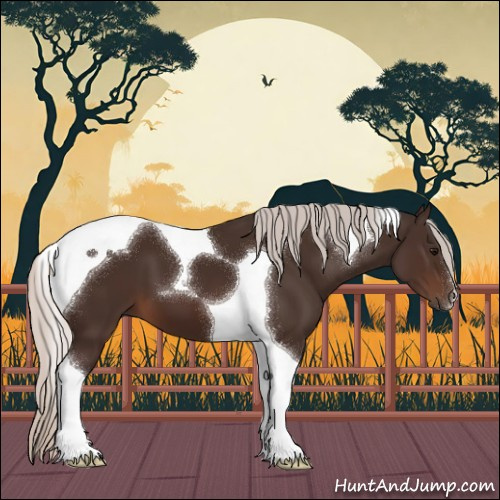 Horse Color:Silver Brown Tobiano 