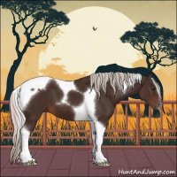 Horse Color:Silver Brown Tobiano 