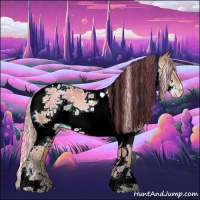Horse Color:Painted Silver Black Pearl Splash Tobiano Frame