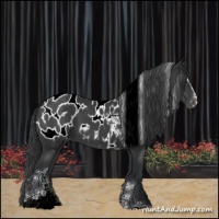 Horse Color:Black Sabino Tobiano Appaloosa 