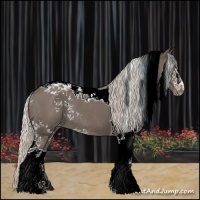 Horse Color:White Spotted Silver Black Tobiano Appaloosa Rabicano 