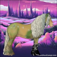 Horse Color:Palomino Sabino Tobiano Appaloosa 