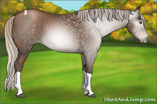 Horse Color:Gray Silver Black Pearl Tobiano