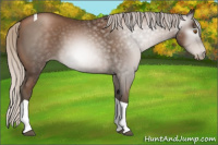 Horse Color:Gray Silver Black Pearl Tobiano 