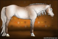 Horse Color:Gray Silver Buckskin Pearl 