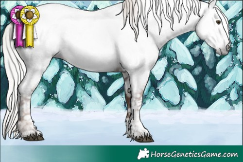 Horse Color:Gray Silver Black Pearl Sabino Tobiano Near Fewspot 