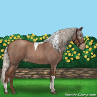 Horse Color:Gray Silver Blue Roan Pearl Tobiano