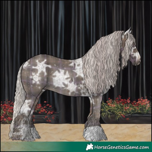 Horse Color:Plaid Silver Black Ice