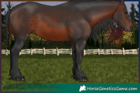Horse Color:Brown 