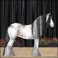 Horse Color:White Spotted Brown Snowflake Varnish