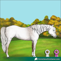 Horse Color:Gray Silver Black Pearl Tobiano 