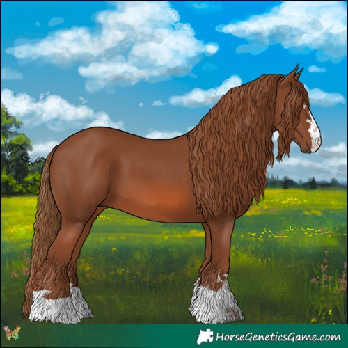 Horse Color:Chestnut 
