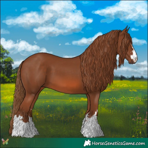 Horse Color:Chestnut 