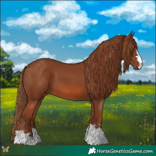 Horse Color:Chestnut 