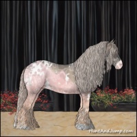 Horse Color:White Spotted Silver Blue Onyx Ice Appaloosa 