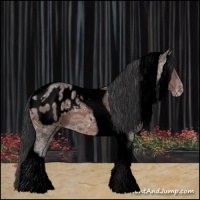 Horse Color:Void Bay Ice Tobiano Appaloosa 