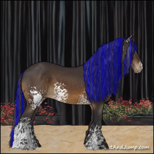 Horse Color:Painted White Spotted Buckskin Varnish 