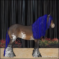 Horse Color:Painted White Spotted Buckskin Varnish 