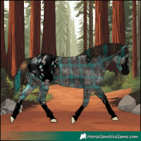 Horse Color:Void Plaid  White Spotted Liver Chestnut Ice Appaloosa Rabicano 